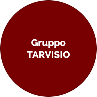 Gruppo Tarvisio