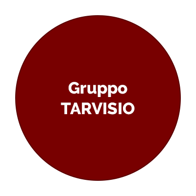 Gruppo Tarvisio